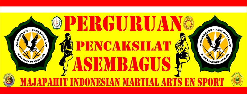 ASEMBABUS PENCAKSILAT INDONESIAN MARTIALARTS EN SPORT